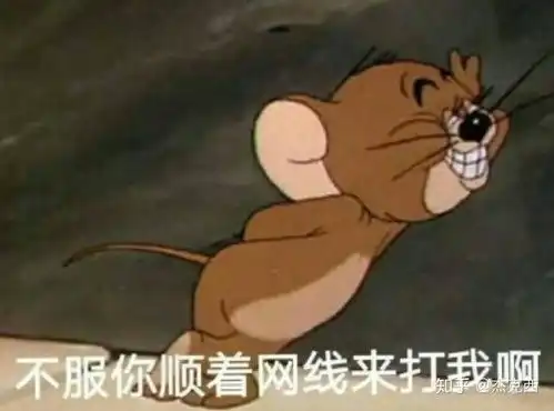 加速包有用有个卵用