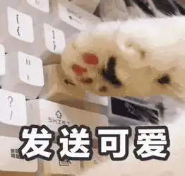 又惊又喜热爱生活的10000个理由