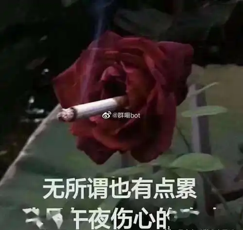 我终于可以半个月不洗头了