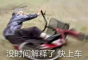 87岁日本阿婆爱上摄影,搞笑照片让人快要笑到内伤