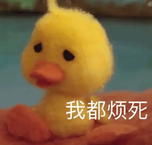 今日份的青蛙鸭鸭表情包来啦