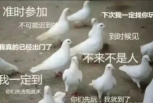 边吃酸辣粉边刷段子,看到个搞笑视频没控制住笑喷了