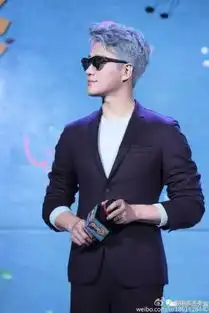 胡歌头顶奶奶灰帅气现身盘点明星奶奶灰发型