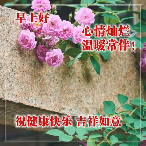 清晨一段很棒的心灵鸡汤语录,天冷注意保暖的早上好问候图片