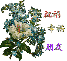 你的表情包连我爸都不用,还想来撩我