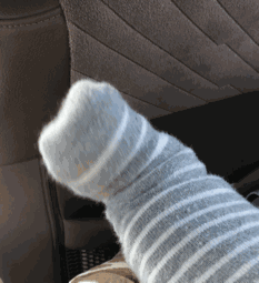 可爱gif动图表情包情头