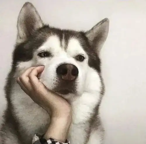 动图表情包我要抱抱好吗