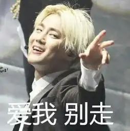 接单表情包搞笑exo