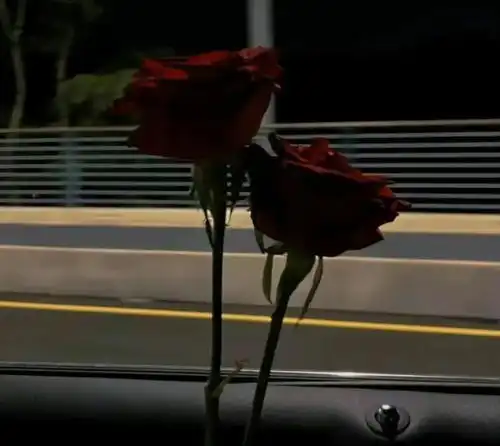 时光里流逝的遗憾27不要孩子