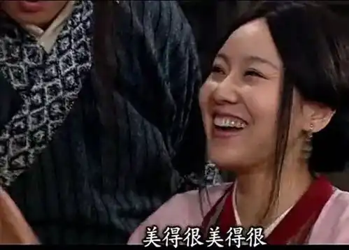 这哪是新流星花园,简直就是广告花园