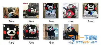 单身的原因表情包下载熊本熊单身的原因表情包免费版旗米拉下载站