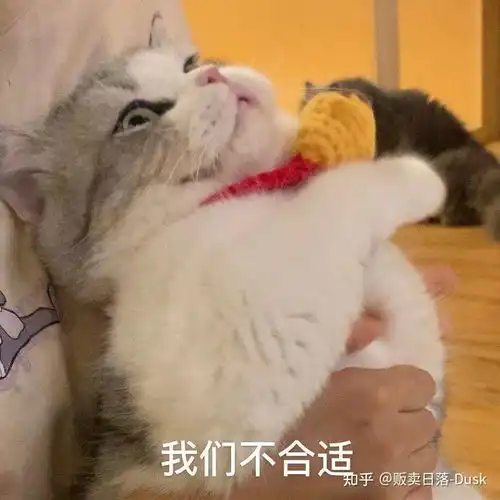 很棒的表情包有哪些