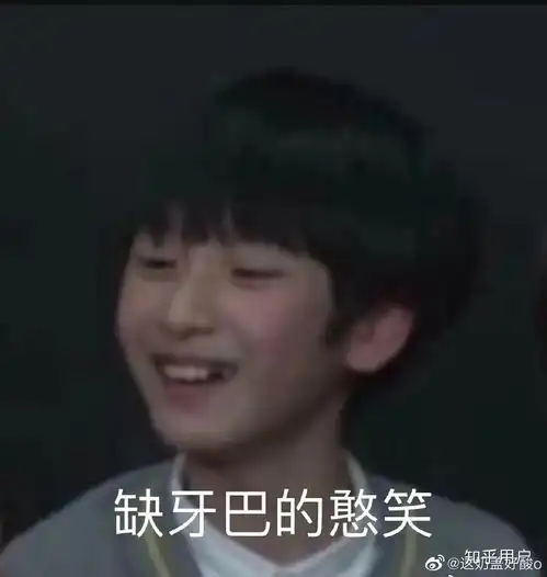 有哪些沙雕tnt时代少年团的表情包