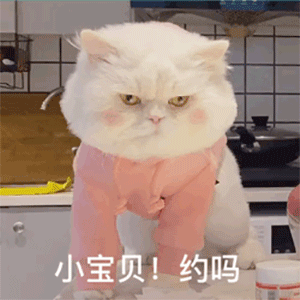 搞笑表情包我们去做快乐的事