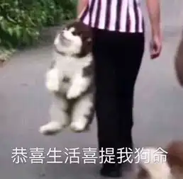 天津垃圾分类来了,少生产1块钱的垃圾竟然能多坐100次公交