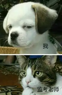 八级大风化身风一样的女子青年们实现中国梦拯救全世界的任务就交给你们了