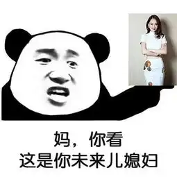 抖音妈看这是你未来女婿表情包谁有妈看这是你未来女婿表情包大全分享