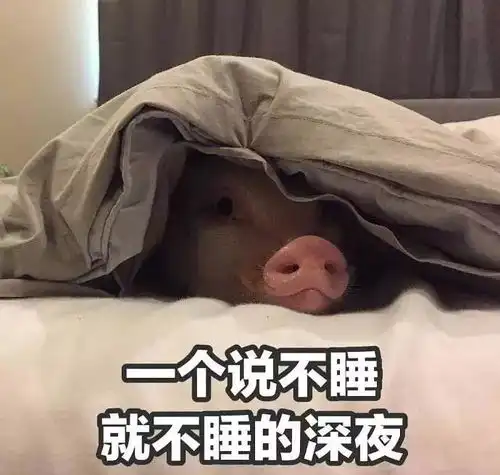 一个小学生的自述,看呆了