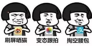 能说说你认为的不建议养猫的理由吗