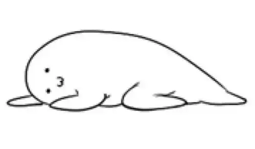 躺枪怎么用西班牙语说