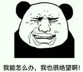 考试绝望的表情包