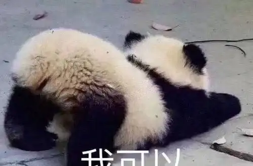 话题表情包,哄生气的闺蜜,搞笑委屈斗图表情不能少