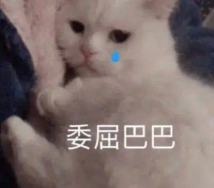 刚刚,南京发布预警