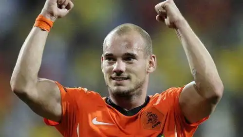 表情荷兰名将斯内德宣布退役橙衣军团黄金一代谢幕全景足坛表情