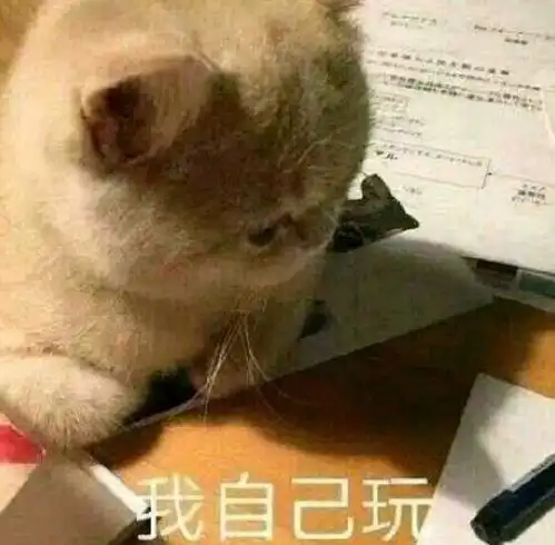 侃琴马丁martin吉他的故事