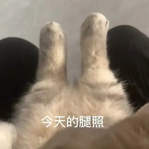 表情包我就是一个很敏感的小男生