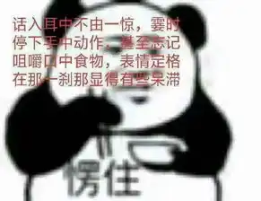 这到底是啥东西啊