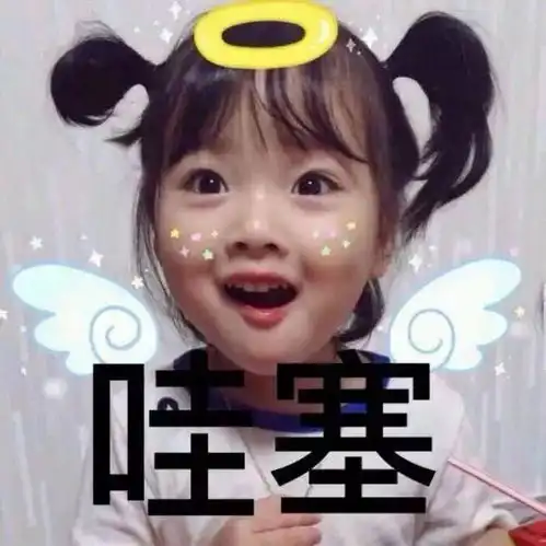 网红小胖妞表情包群居生