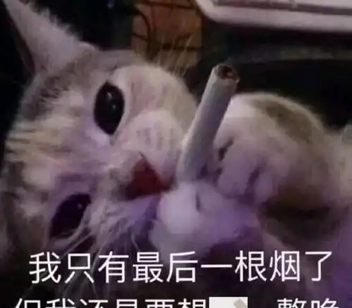 iphone即将使用usbc接口,怎么回事