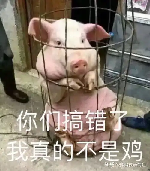 最新表情包图片游戏重要,还是我重要