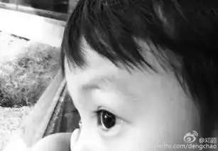 孙俪变表情包新鲜出炉与米老鼠玩合影