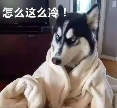 哈士奇微博表情包得罪