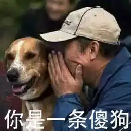 在职场,我最优秀的品质是孝顺丨15个把自己蠢哭了的瞬间