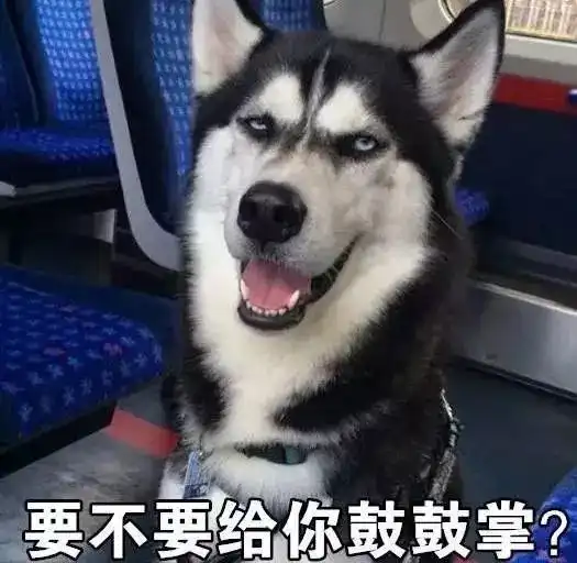 哈士奇柴犬搞笑表情包哈