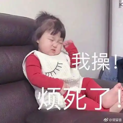 玉林人养狗吗