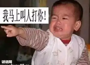 在中国,有这样一群所向披靡的网友