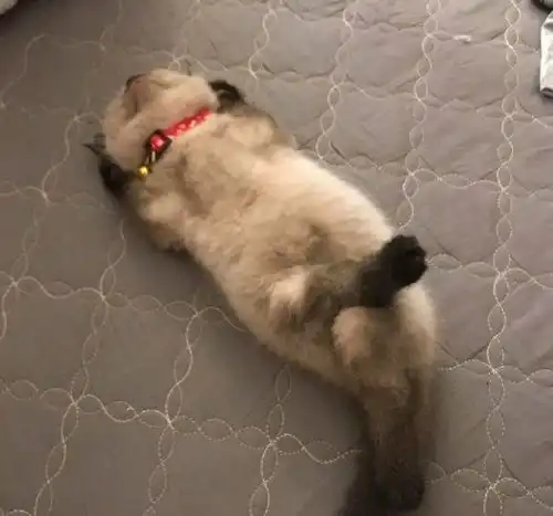 开心一笑吃晚饭的时候我问媳妇咱家三口人,为何要摆四个饭碗