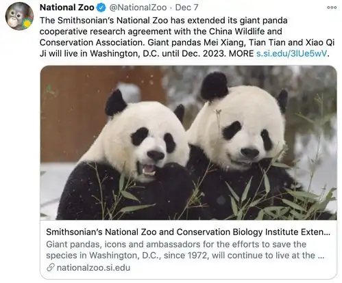 旅美20年的大熊猫续约3年
