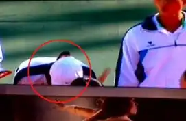 扇耳光表情包李娜