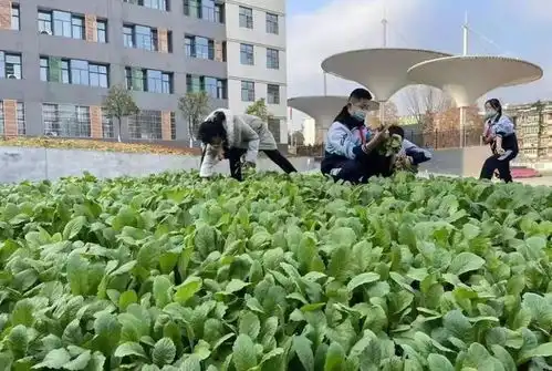 欢乐多安康这群小朋友们唱二黄,还下地种菜文明安康