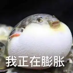 我要抱抱表情包特斯拉