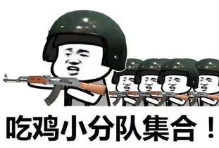 中东人拔枪表情包鱼饵