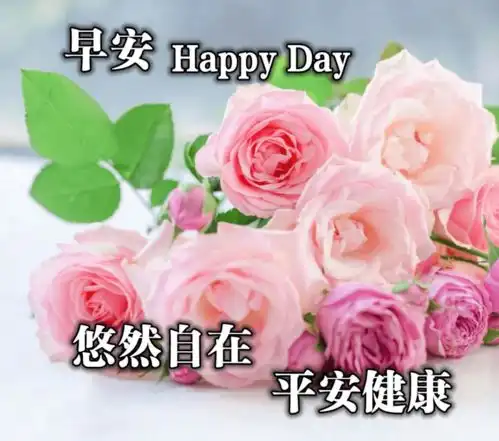 新的六月最美的早上好问候图片大全阳光唯美的早安祝福表情包