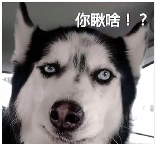 拜年表情包2022二哈