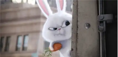 今年咋样明年咋混谁问这些了,你就选一个动物表情包作回答吧