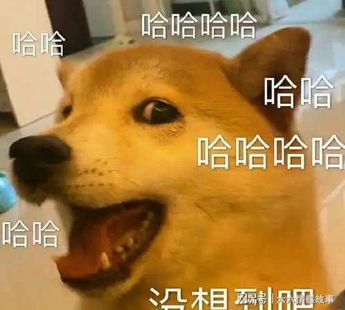 自带福气的几种狗,遇到别错过,旺家又旺财